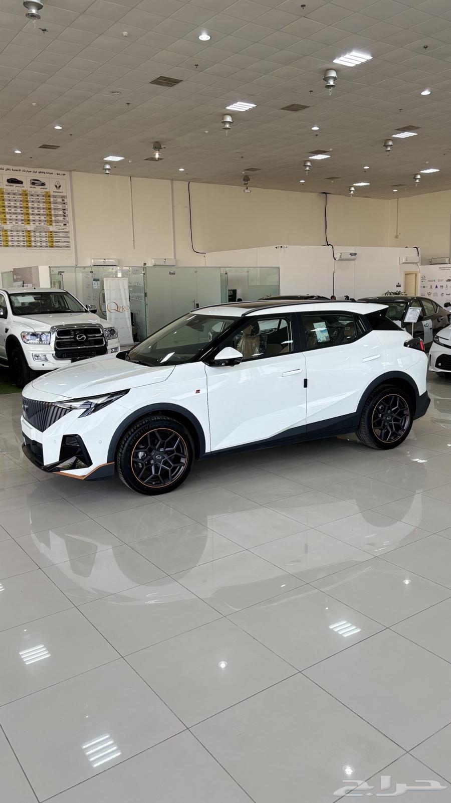 Jack GS3 Amazon Sport 202563093955237249112