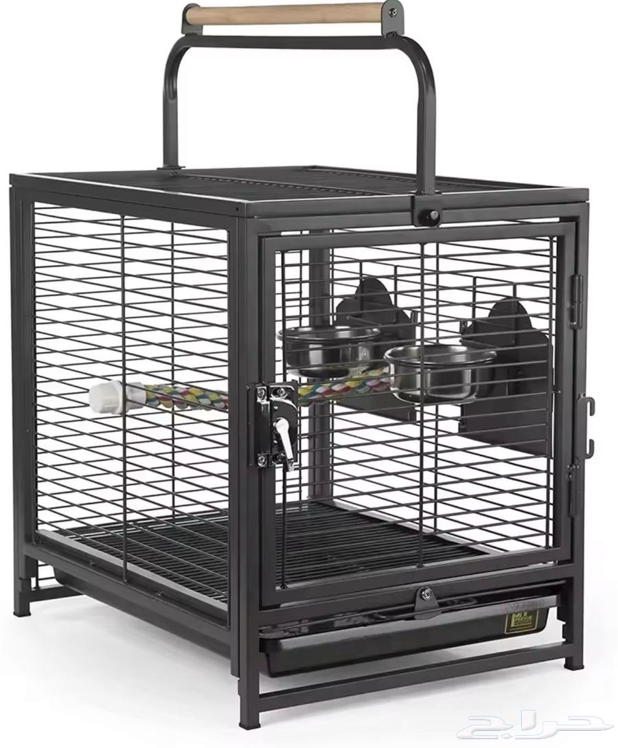 Amazon Kasco cage Kaik parrot toy games630636351033621127