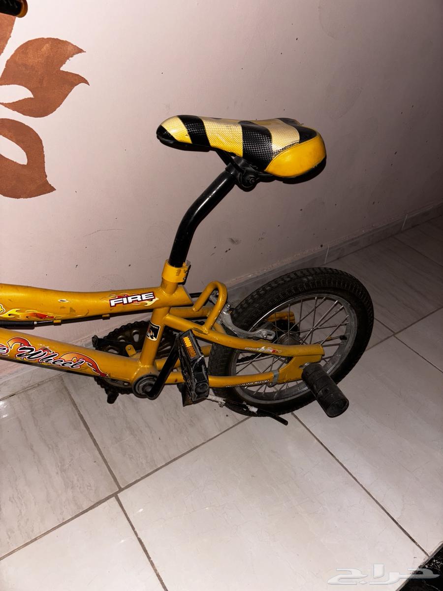 سيكل كوبرا630629078865931128