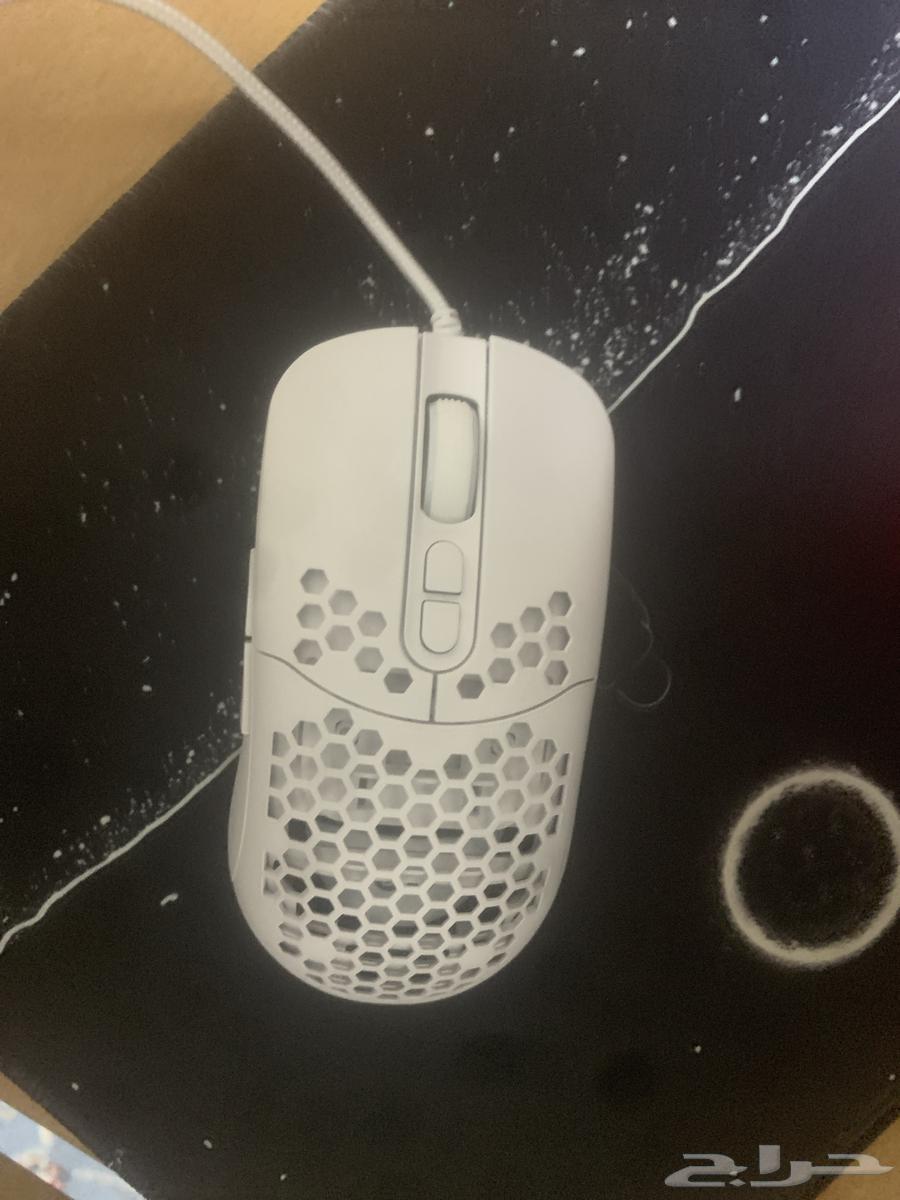 Mouse630636735358731124