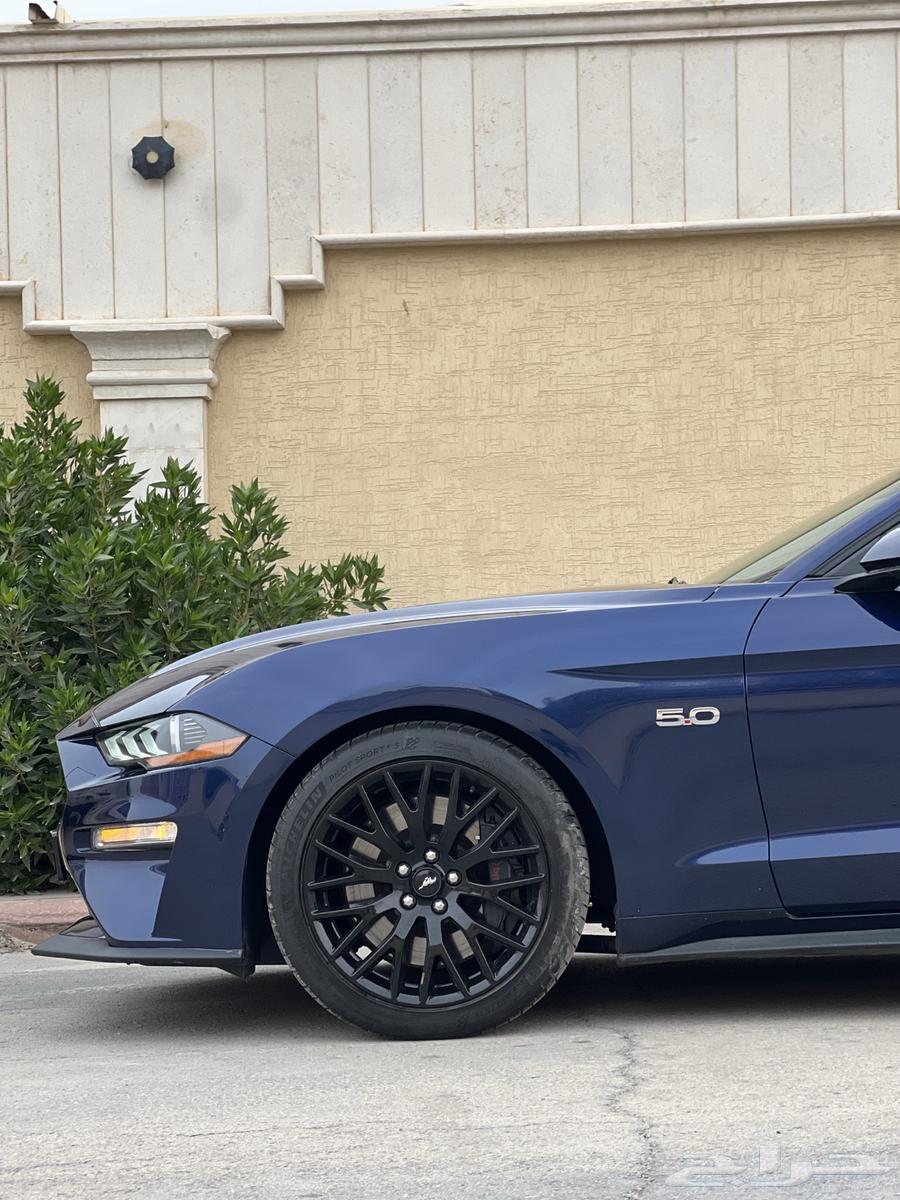 Moostang 2019 (Sold)63093576059137114