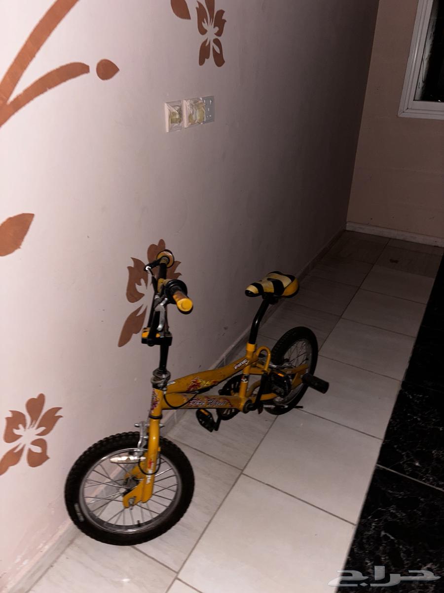 سيكل كوبرا63062907886593111