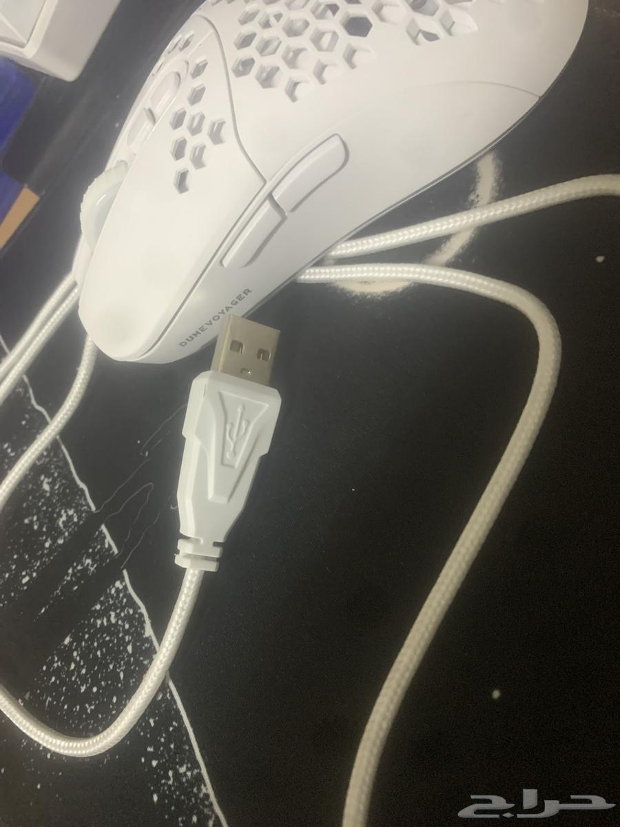Mouse63063673535873113