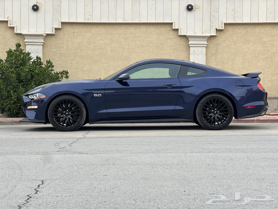 Moostang 2019 (Sold)63093576059137113