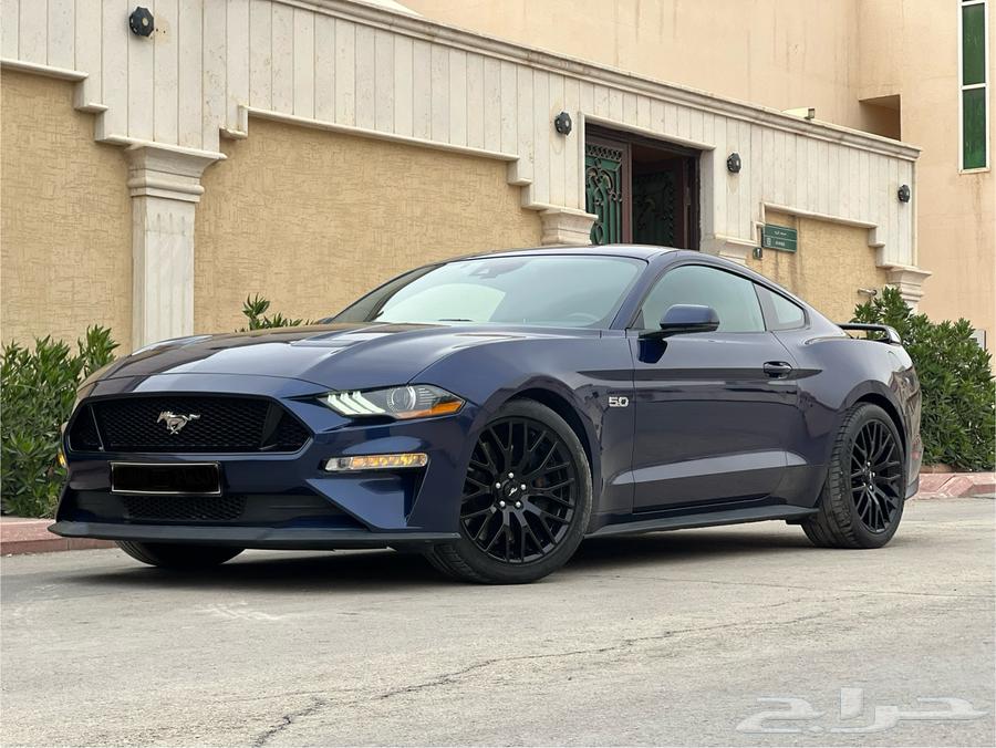 Moostang 2019 (Sold)63093576059137111