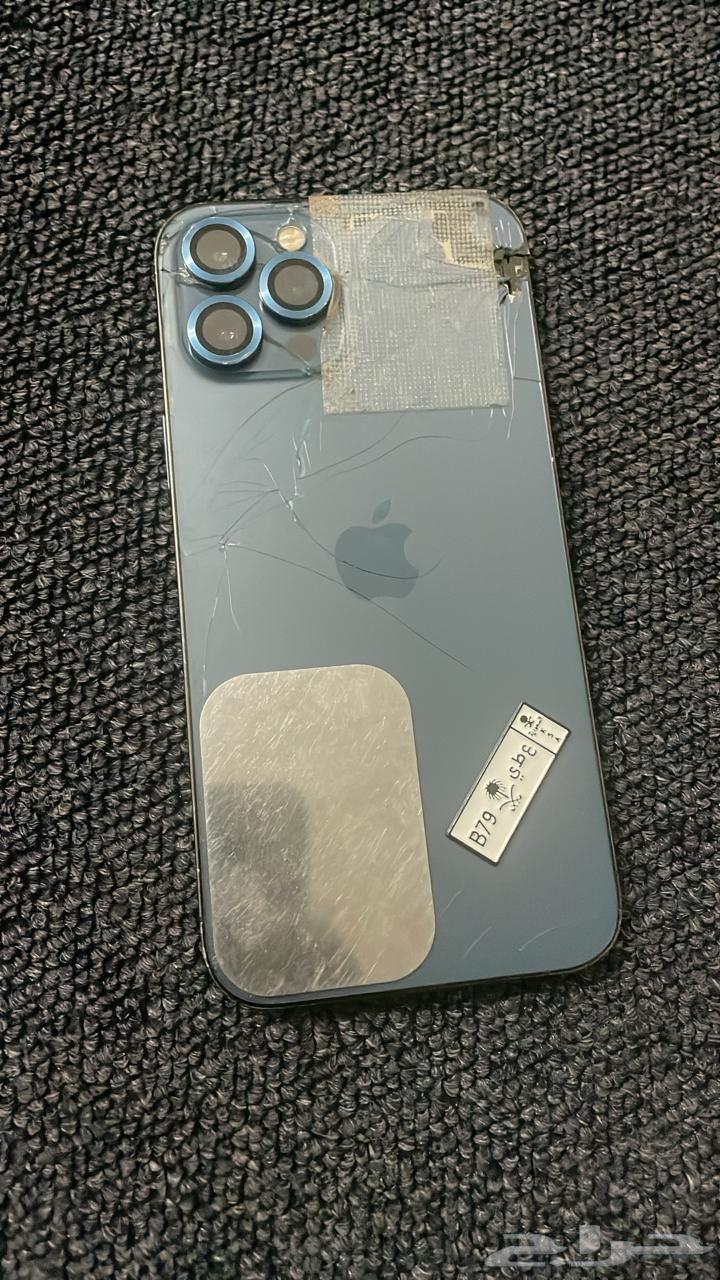 Hello, we offer 12 iPhone bottles for 7963062535746435113