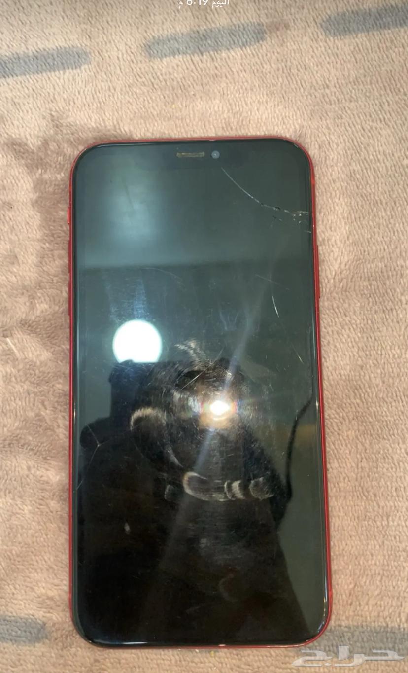 ايفون xr63062188474114113