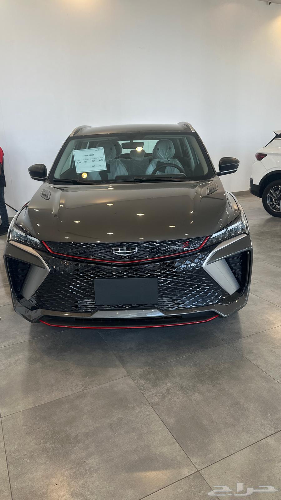 جيلي كولراي 2025 جميع الفئات والالوان بعروض باسعار مميزه63089822692867111