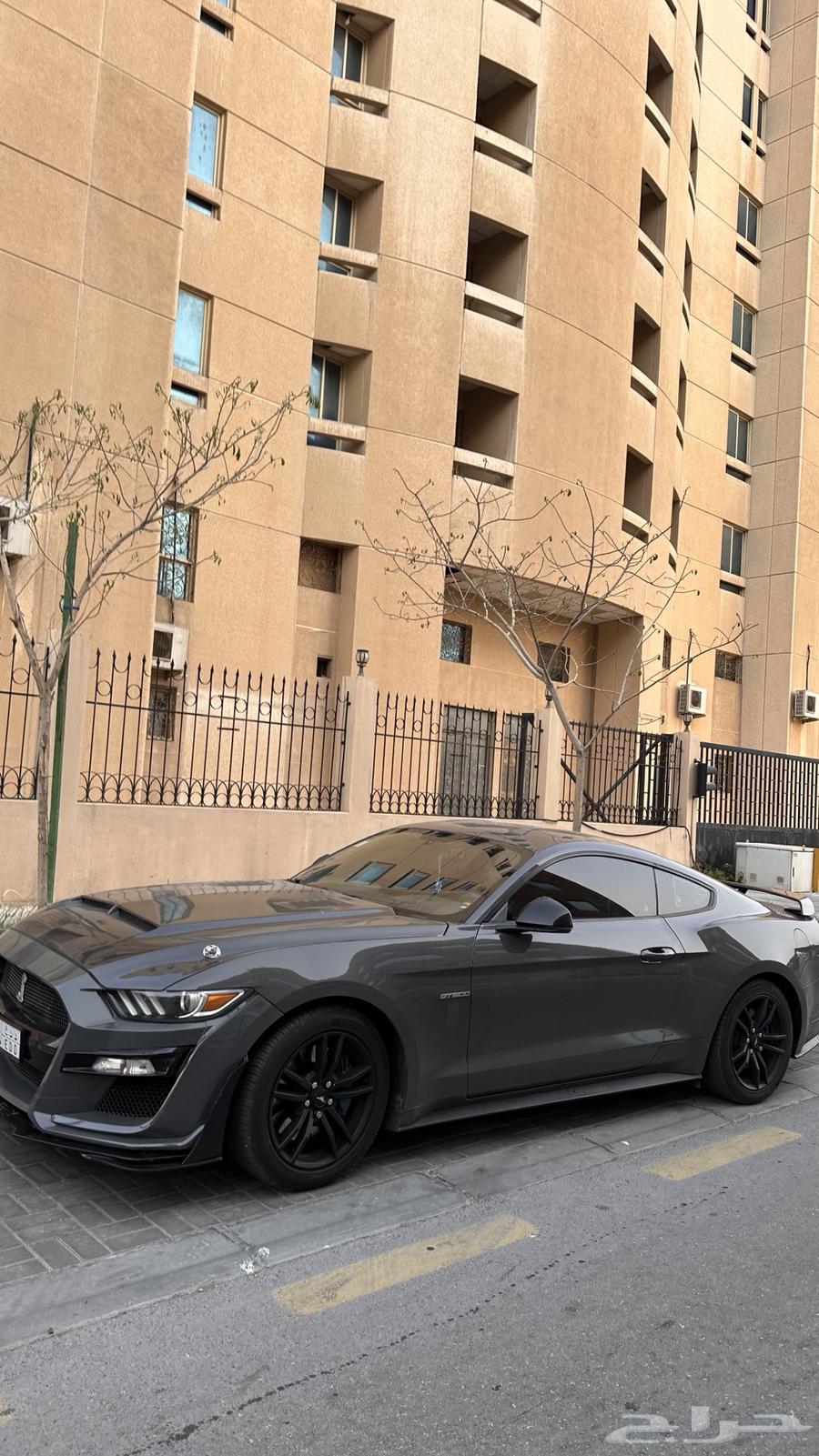 موستنق 201663087793024385112