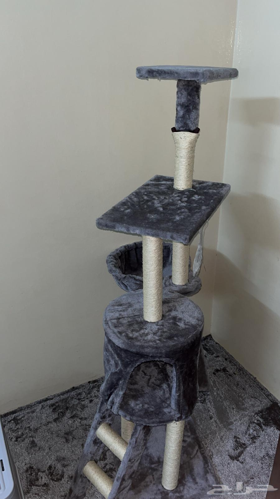 Cat supplies   Khadasha   Litter box63059631138819111
