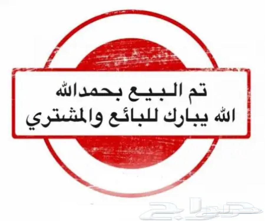 3 ازوج بادجي منتجة معا فروخها والبيض63070082308610112