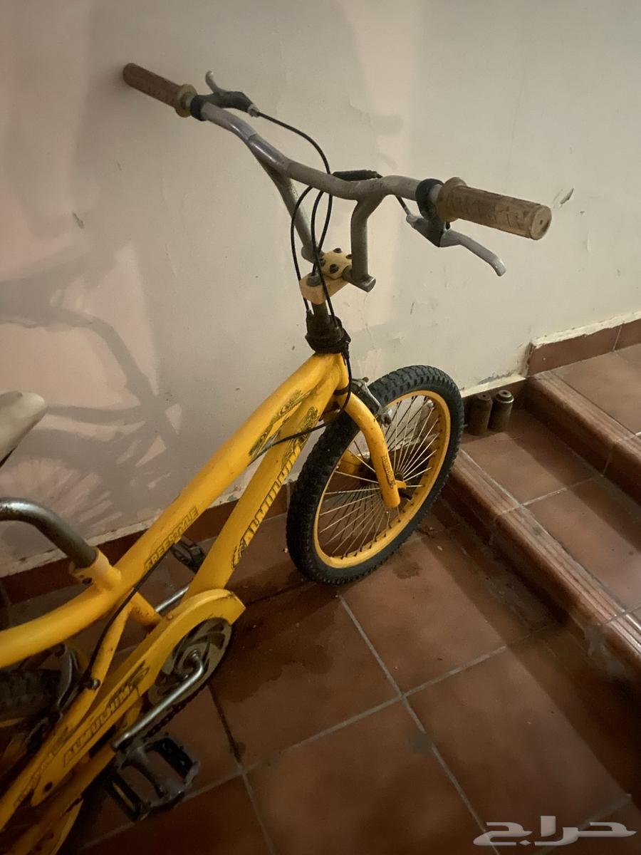 Cobra bike63059242488067112