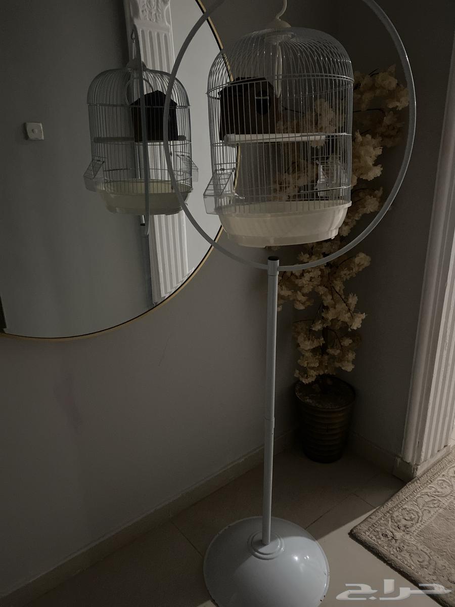 Birdcage for sale63060767128963112