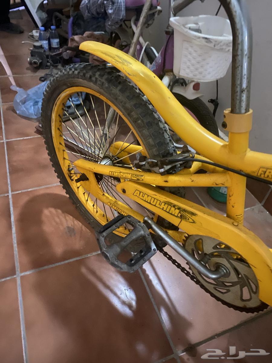 Cobra bike63059242488067111
