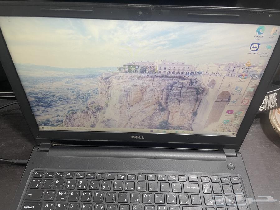 Dell Laptop (280 Reviews)63062192324610114