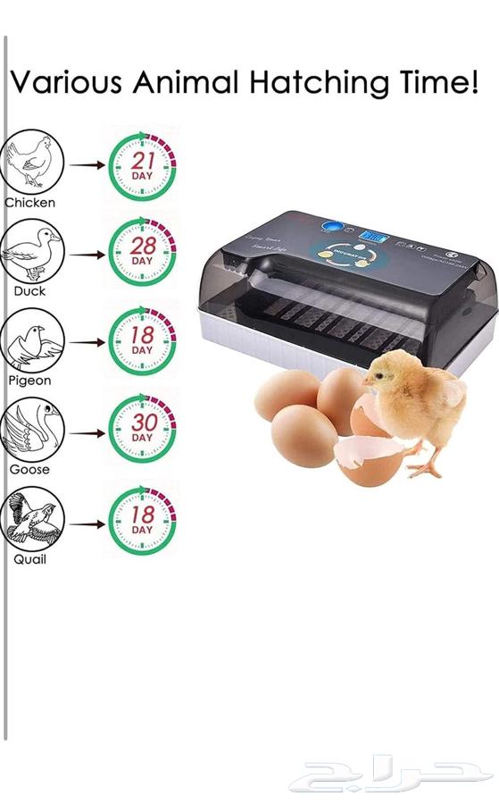 فقاسة بيض إلكترونيه للبيع63061456068737113
