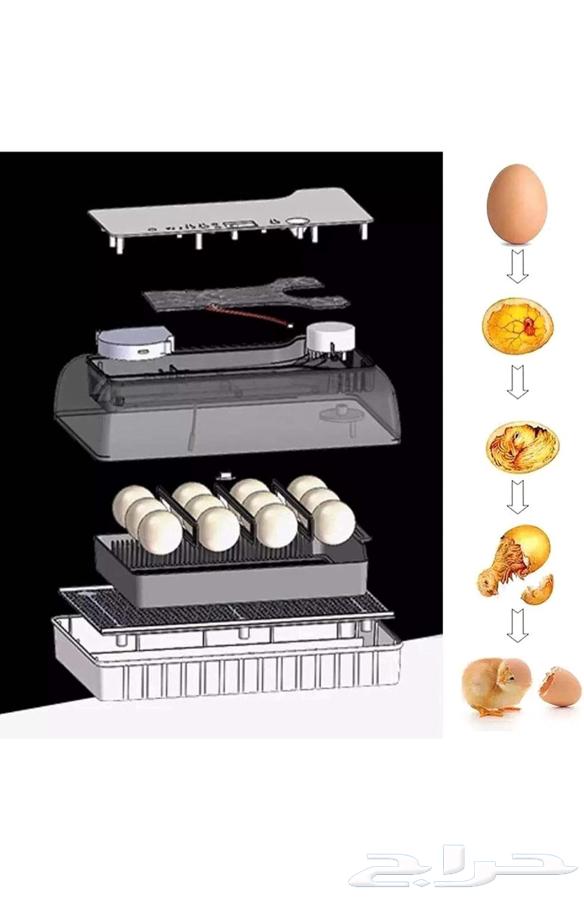 فقاسة بيض إلكترونيه للبيع63061456068737112