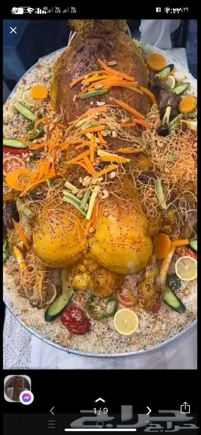 Mobile cook within Riyadh and eastern outside Riyadh sands all over63016101525249111