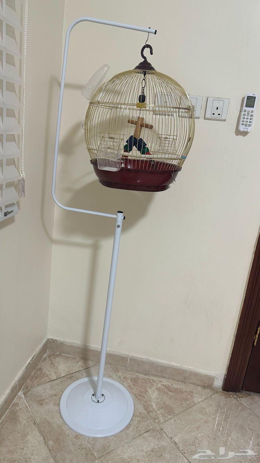 Unique bird cage63061098861441112