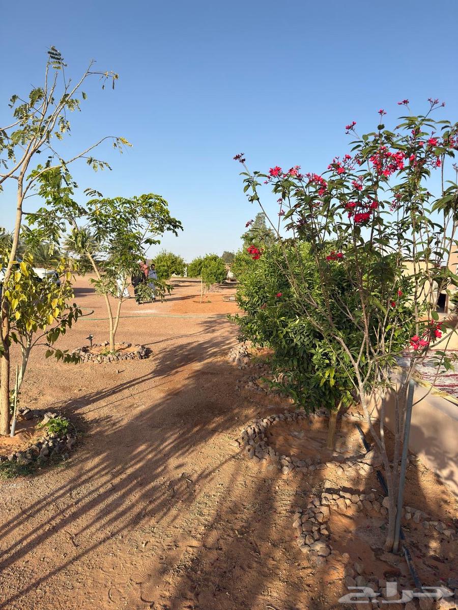 Rest house for rent with amenities in the west of Athamir63013382021763113