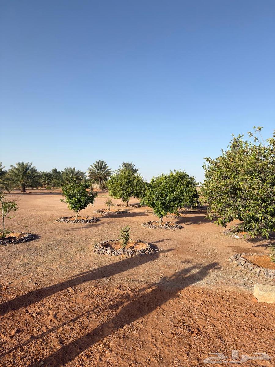 Rest house for rent with amenities in the west of Athamir63013382021763111