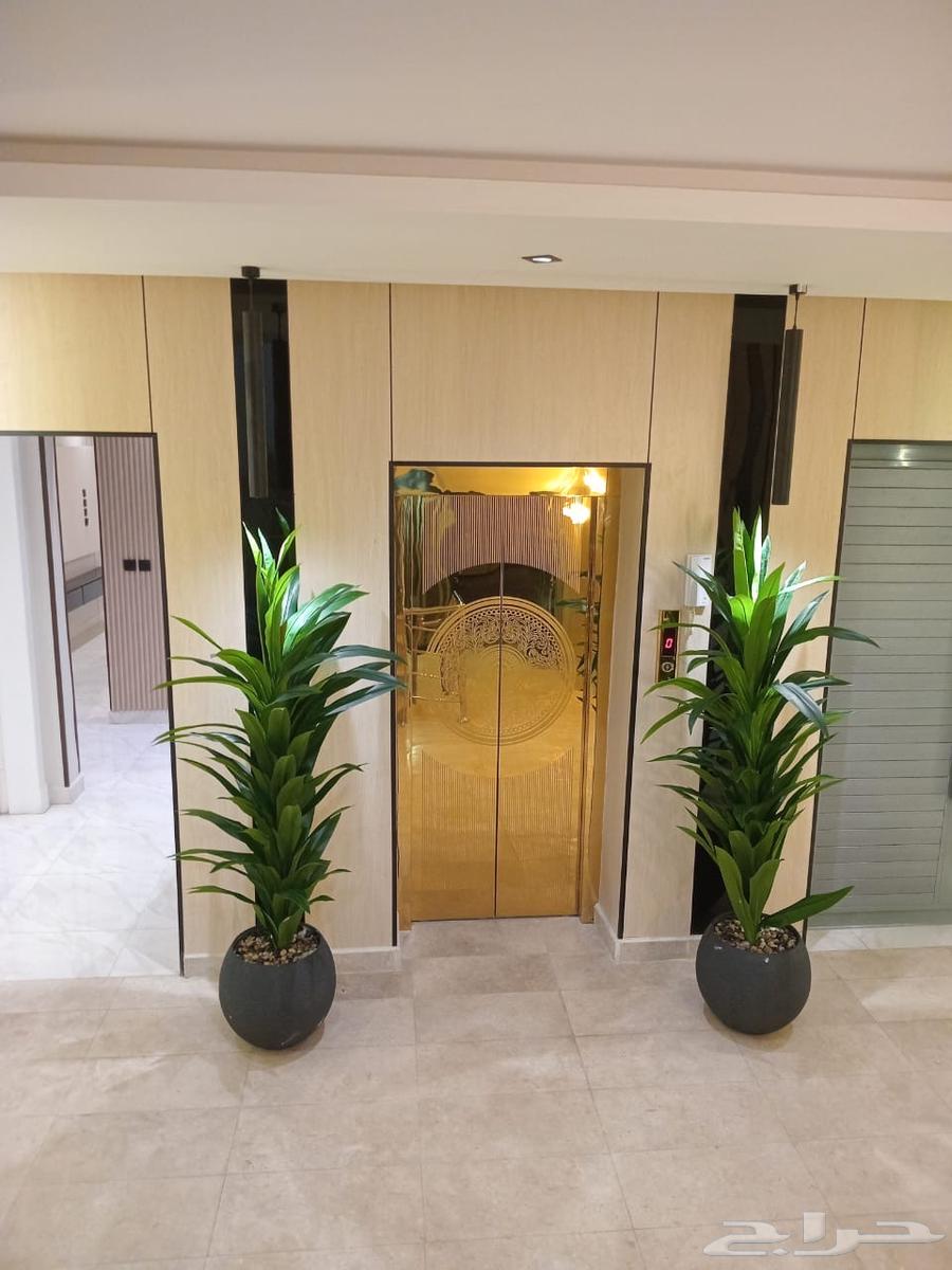 Luxury apartments for sale63012947331587112
