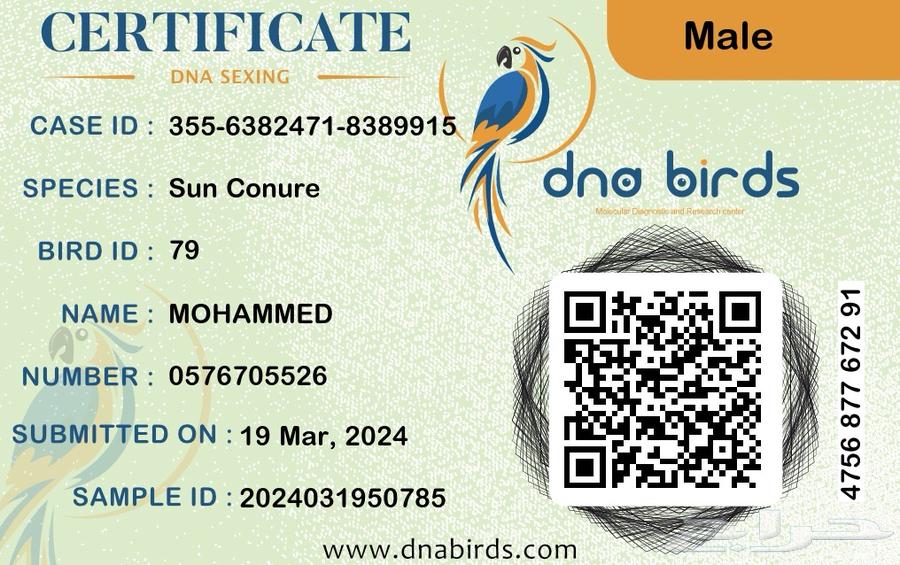 Sun Kinyor63058840351746111