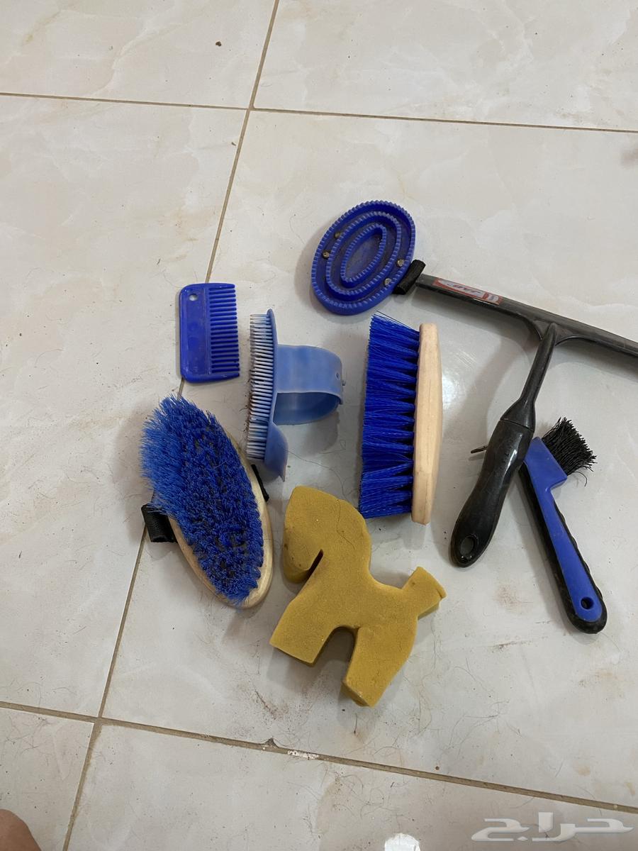 Horse grooming tools63058447574915112