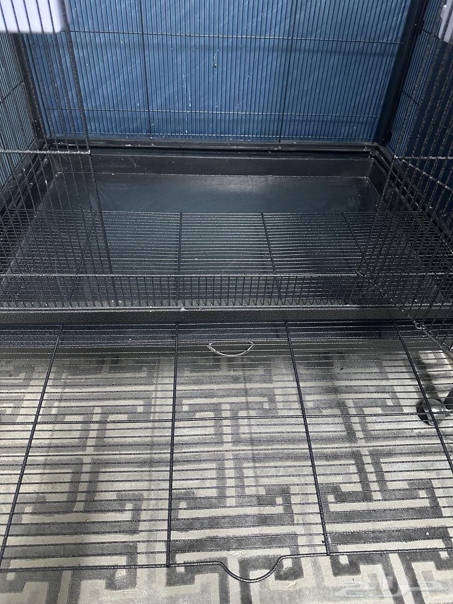 A large parrot cage suitable for large, medium and small birds63059242851203113