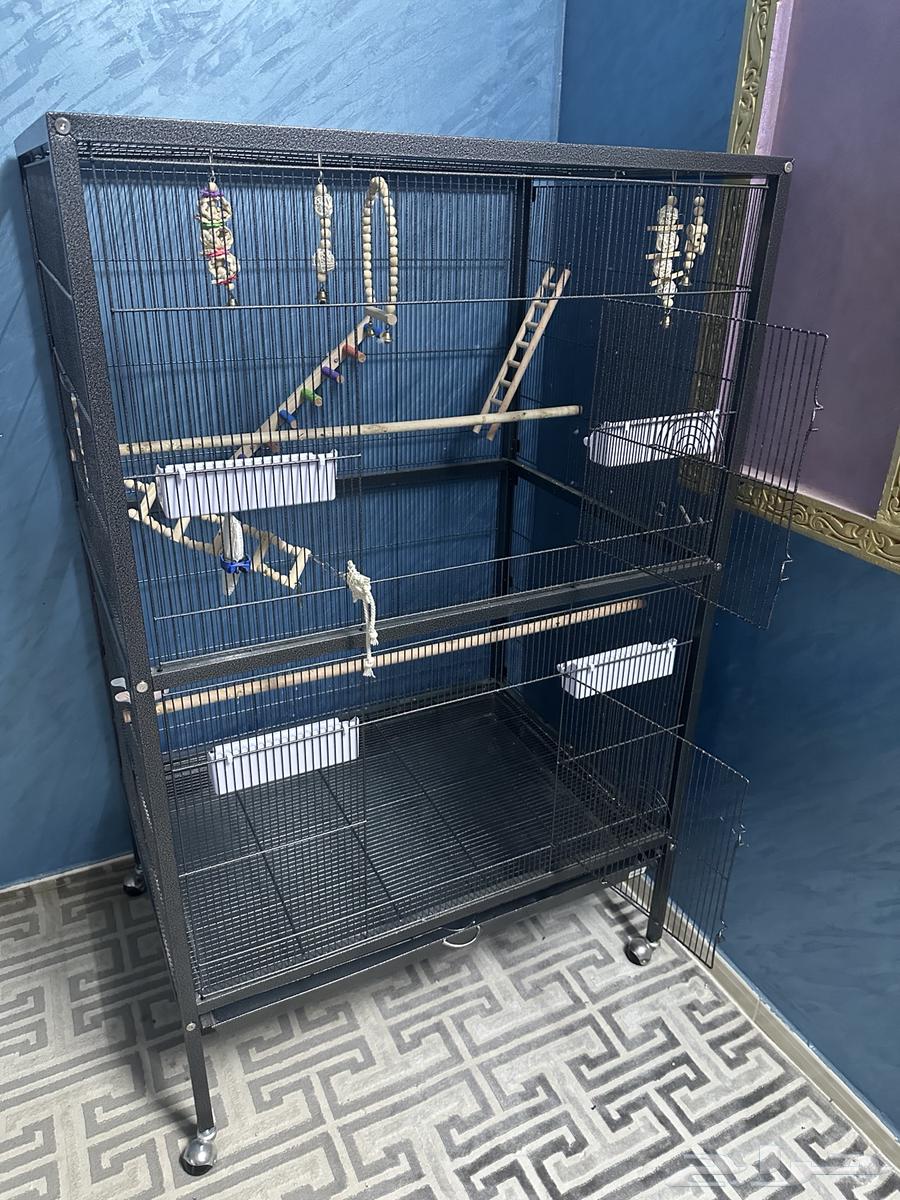 A large parrot cage suitable for large, medium and small birds63059242851203112