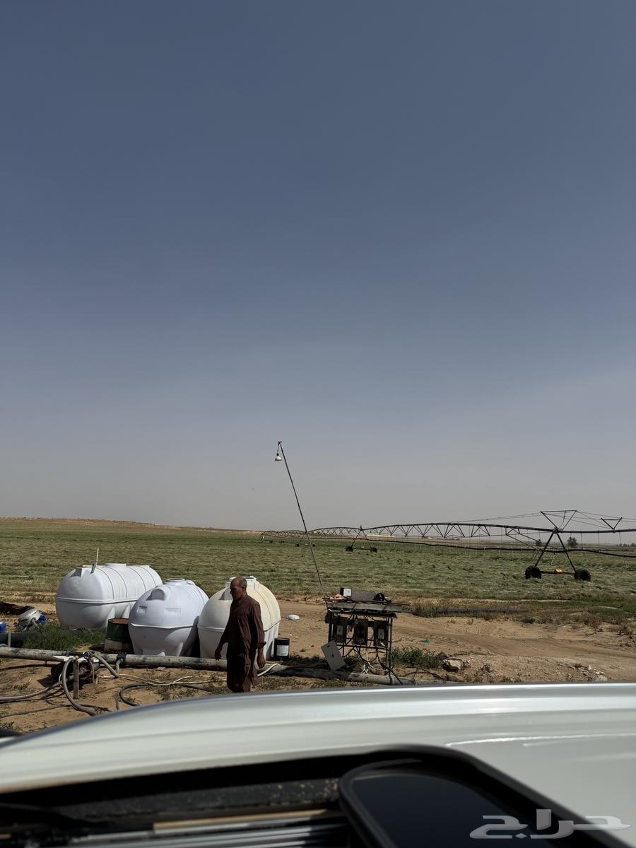The farm north of Al-Fawliq sold my village..63011211387779113