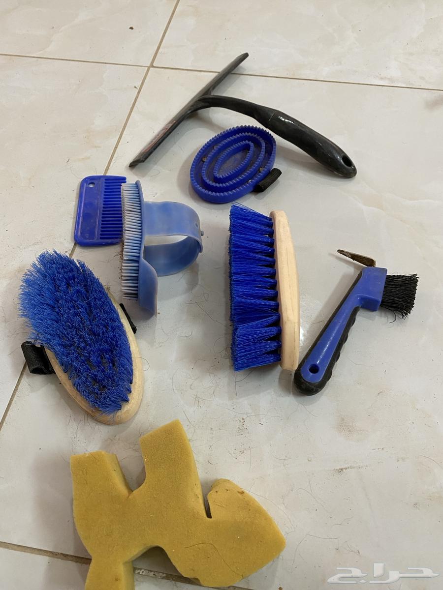 Horse grooming tools63058447574915111