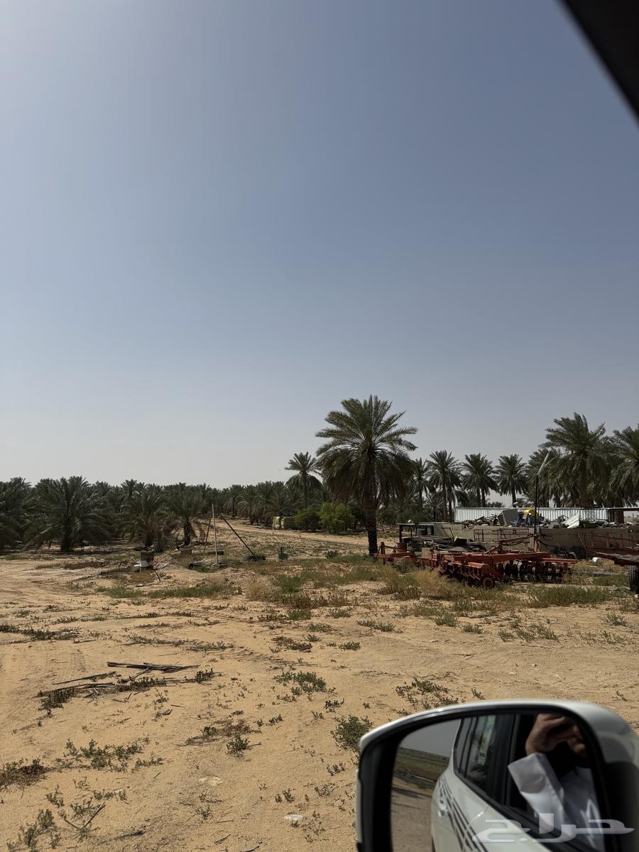 The farm north of Al-Fawliq sold my village..63011211387779111