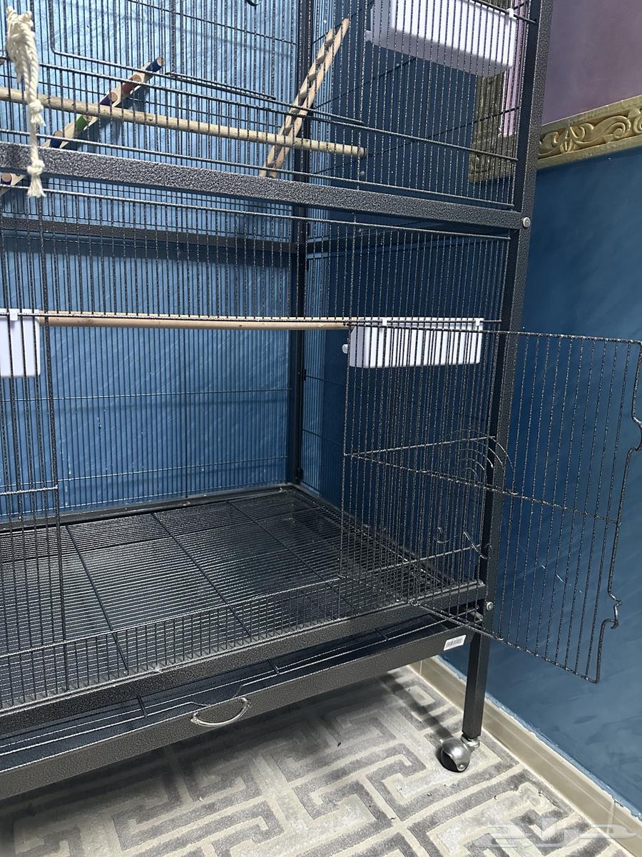 A large parrot cage suitable for large, medium and small birds63059242851203114