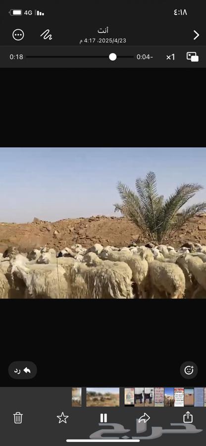 حريات متابيع و دفيع بفحلها63057583519873112