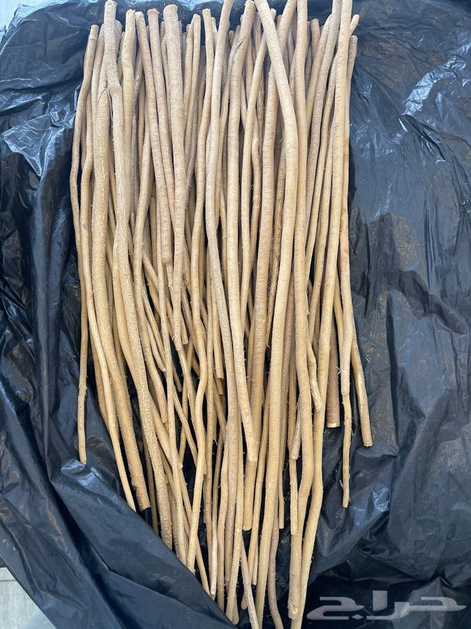 Equal in bulk and retail63059246068737112