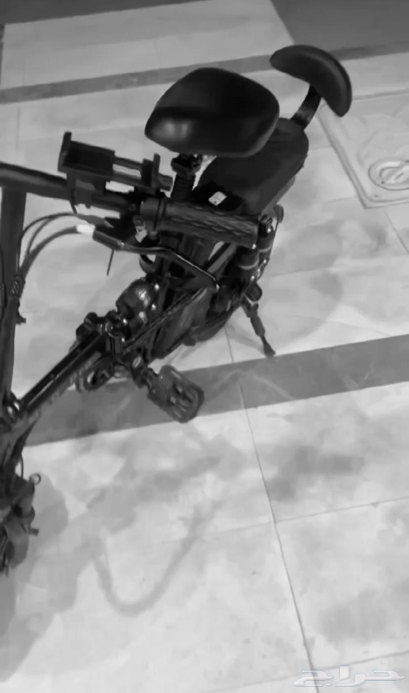 14-inch scooter63058815784065113