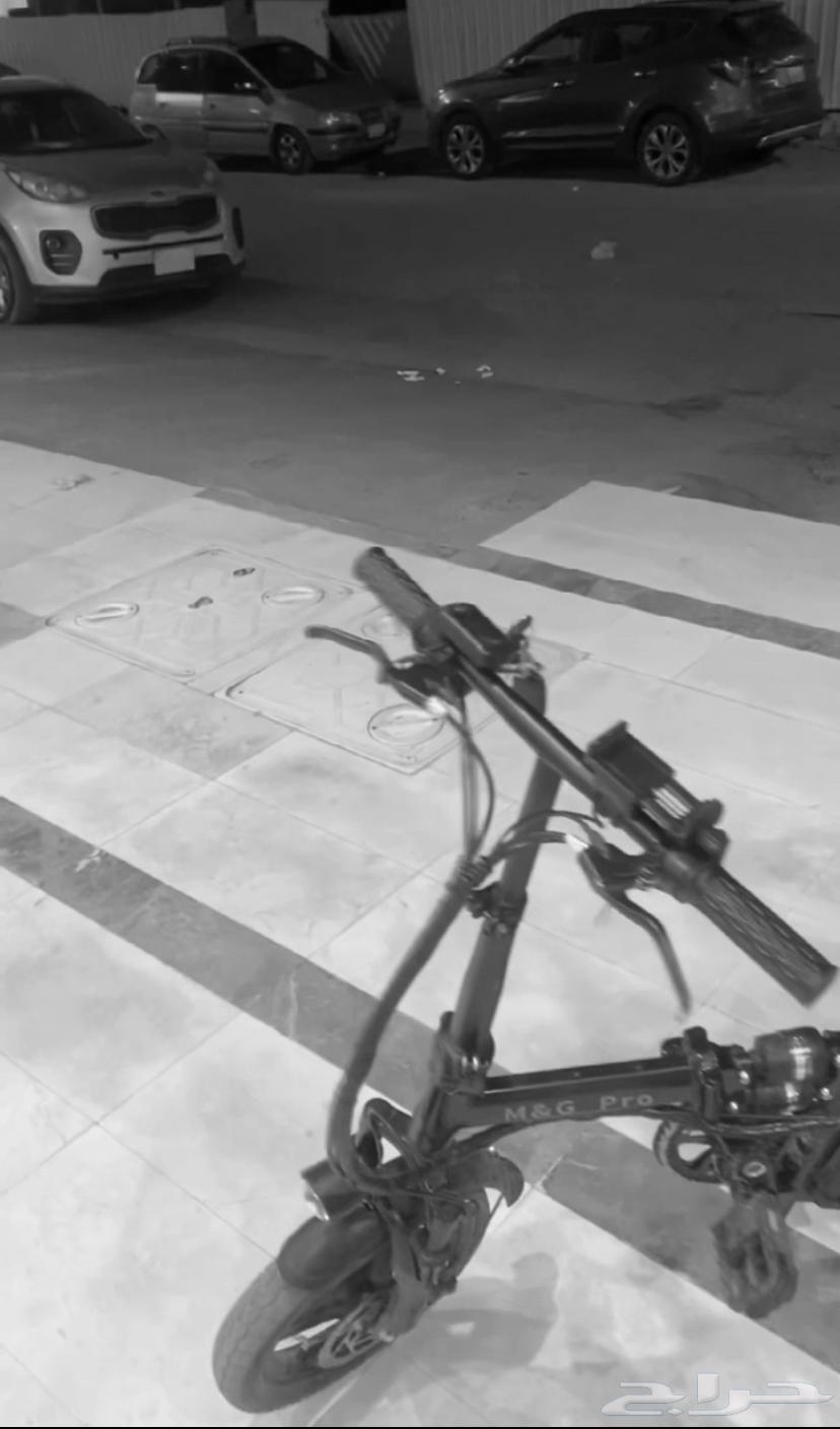14-inch scooter63058815784065112