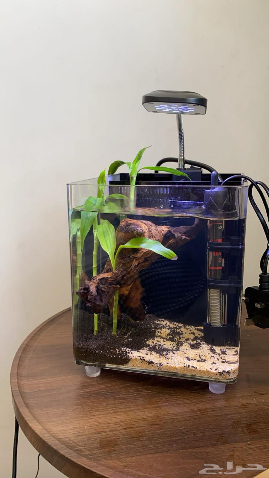 Nano aquarium 1 high quality63055229651969111