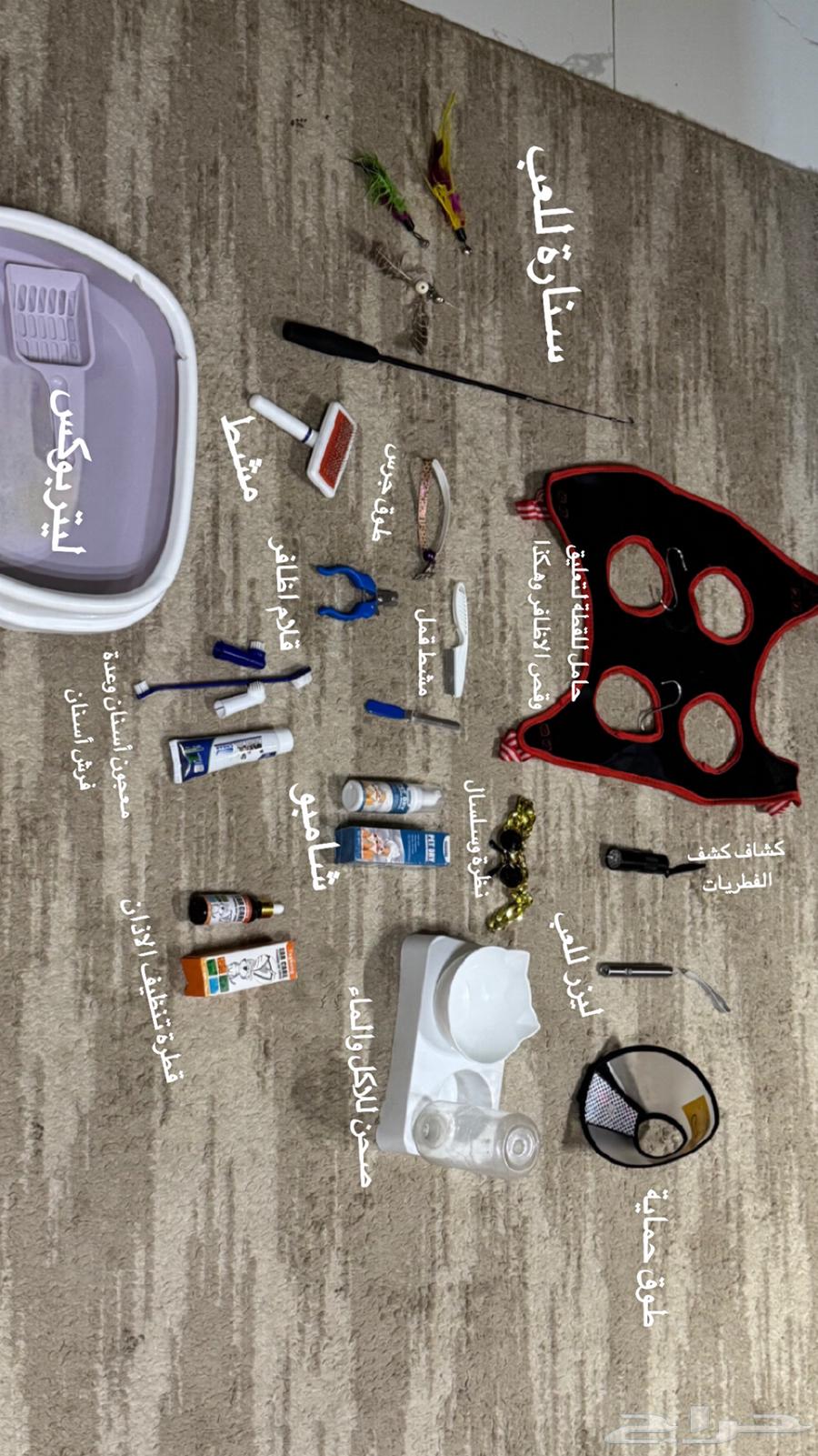 Cat supplies with cat feeding device63056036181506114