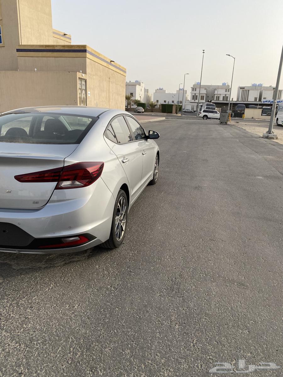 لنتر 2020 كوريا الاحساء63082964202113114