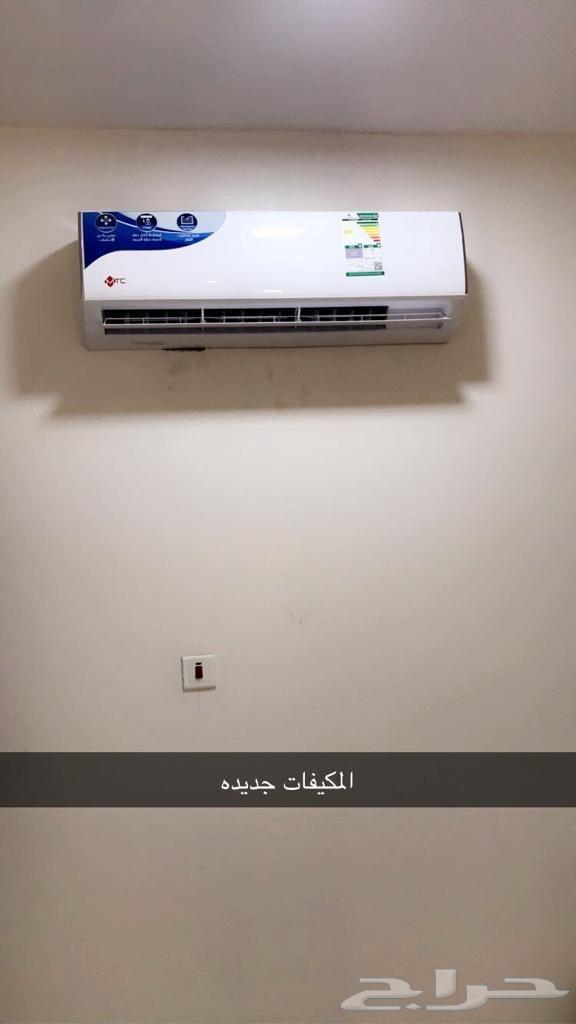 شقة للإيجار