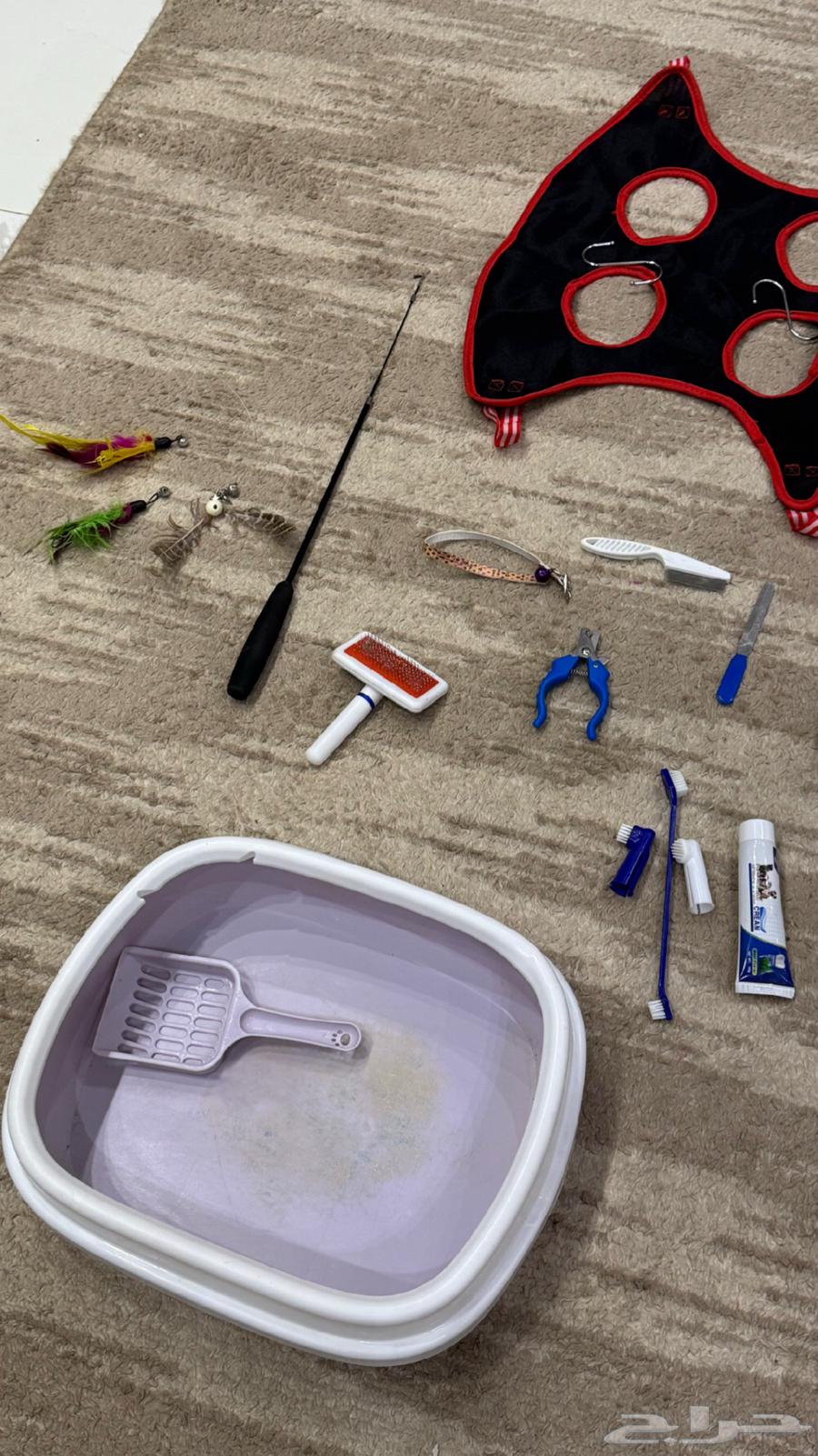 Cat tools Cat supplies63054067151745112