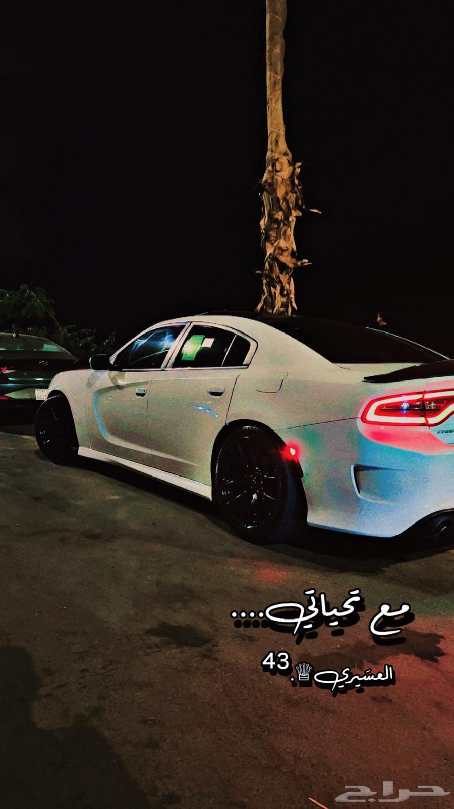 دوج 202063078809089283112