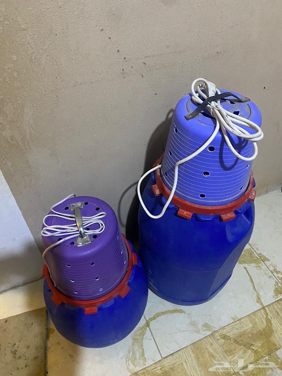 خضاضات لبن اردنية630524563325471118