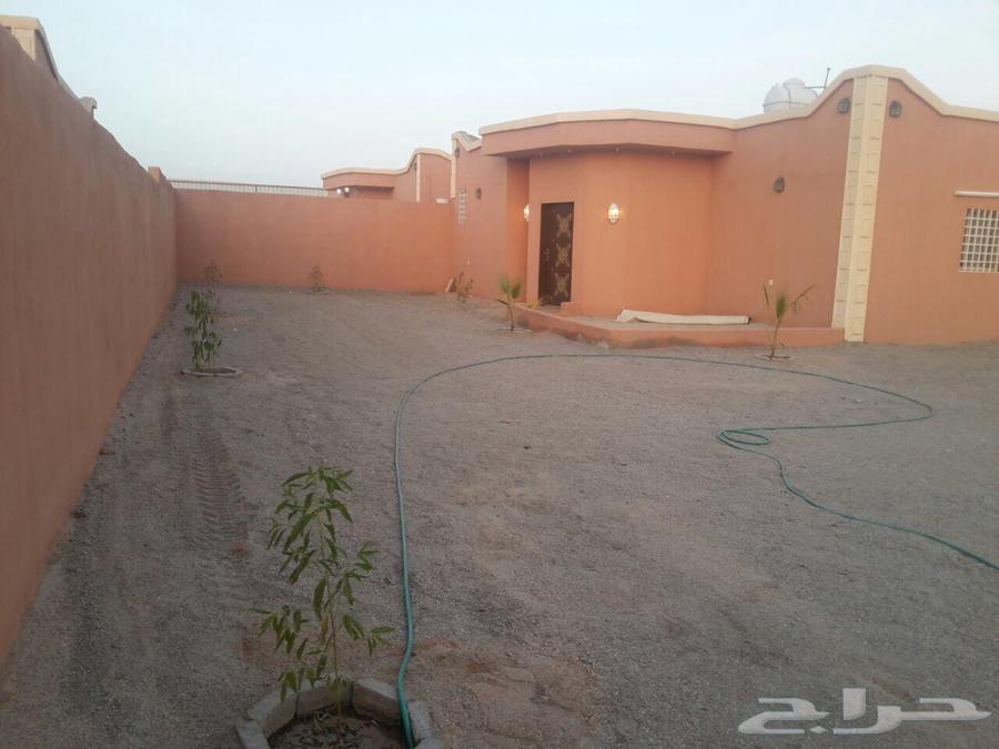استرحه الدوادمي63441793993347111