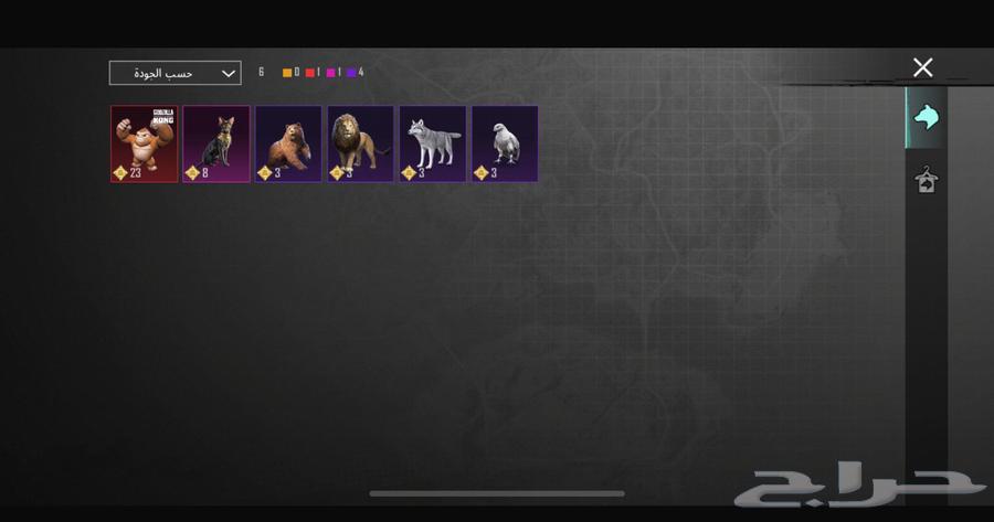 PUBG account for sale63054490201857114