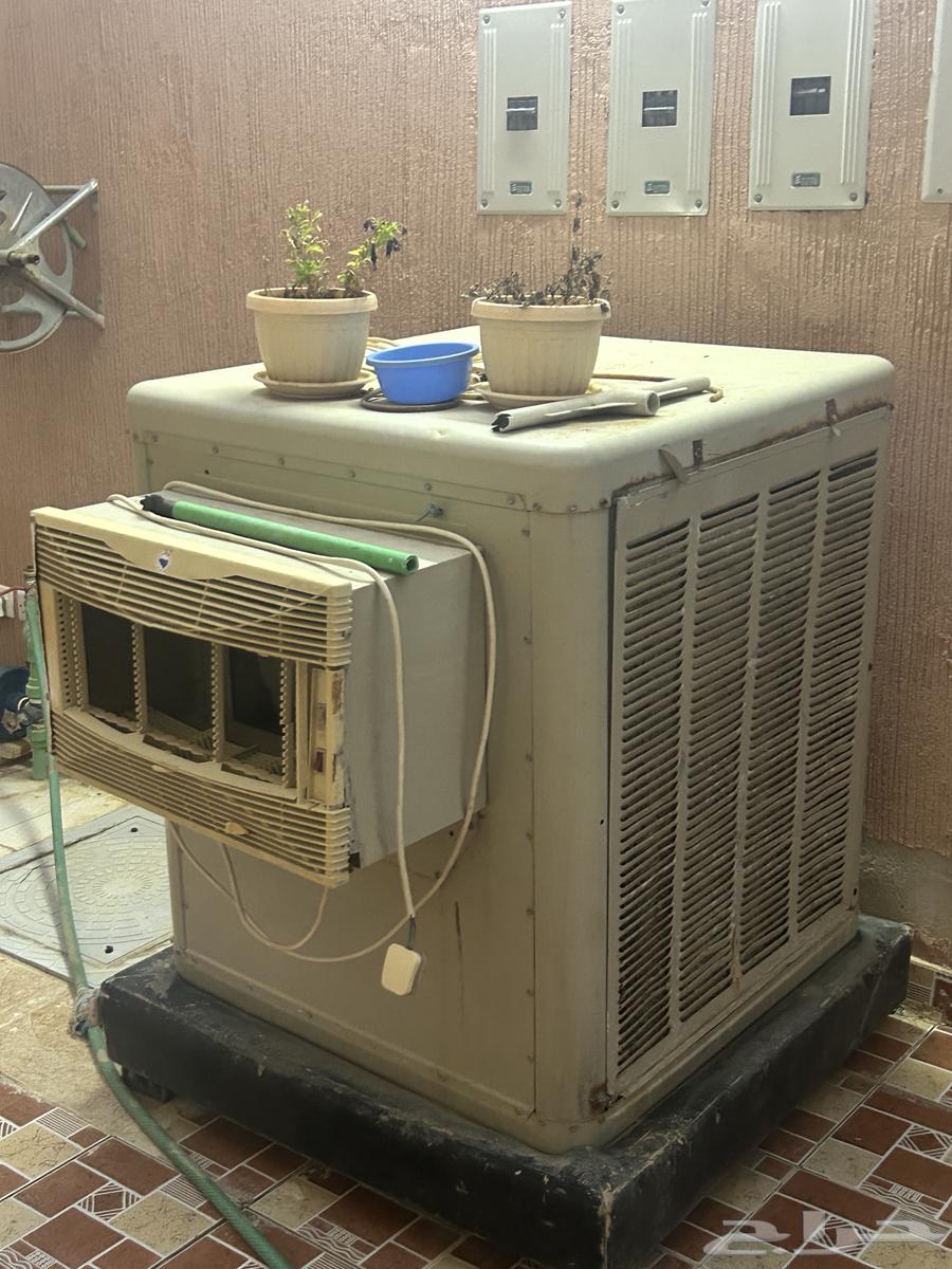 Desert cooler63051619269506112