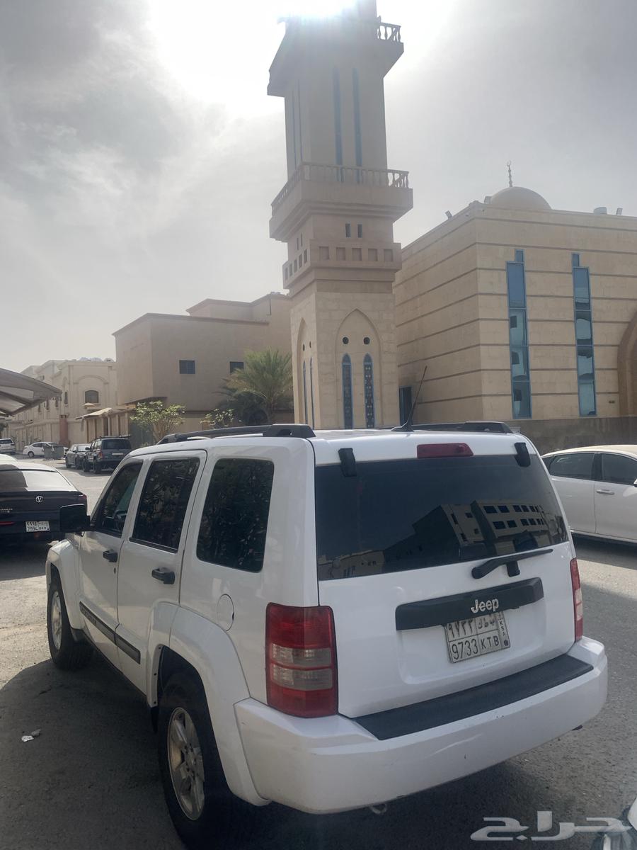 شروكي ليبارتي63078442992003111