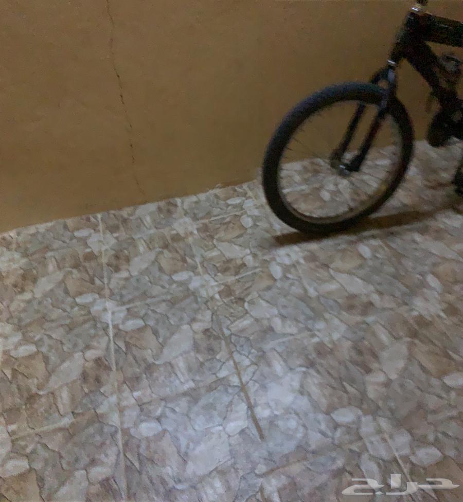 سيكل رامبو للبيع مقاس 2063054061829635114